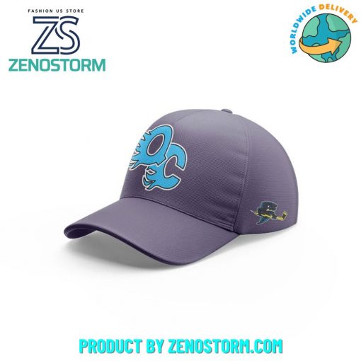 Quad City Storm Professional Hoodie Set 2025